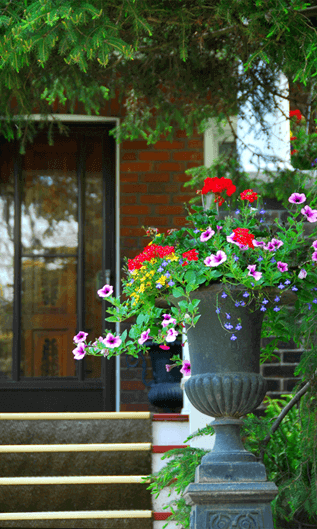 bright cheerful flowers in a grecian-style stone vase displayed in front of a lovely brick townhouse